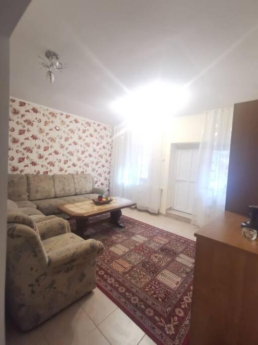 Appartement Tth Apartament à Timişoara Extérieur photo
